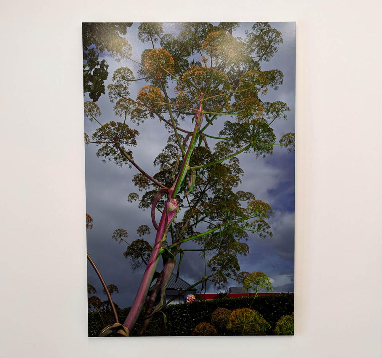 Untitled Untitled