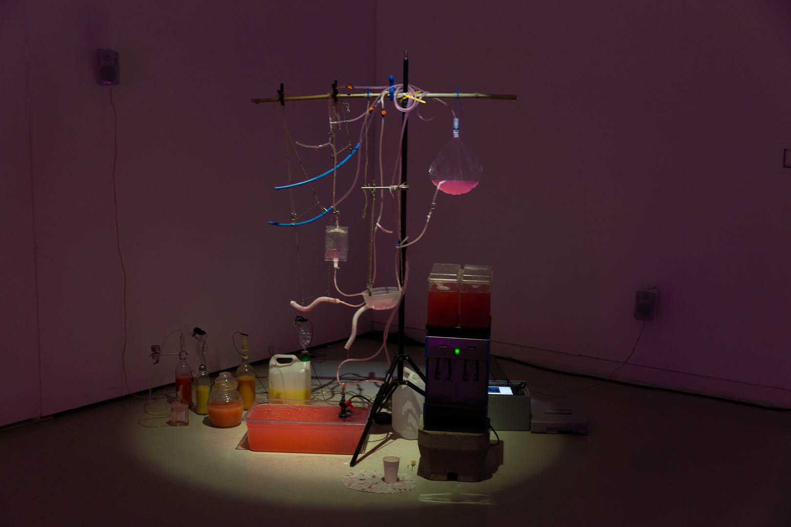 Untitled Untitled